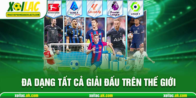 Đa dạng tất cả giải đấu trên toàn thế giới