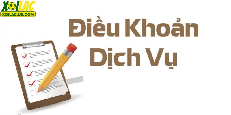 Trách nhiệm của người dùng khi tham gia vào dịch vụ của XoilacZ