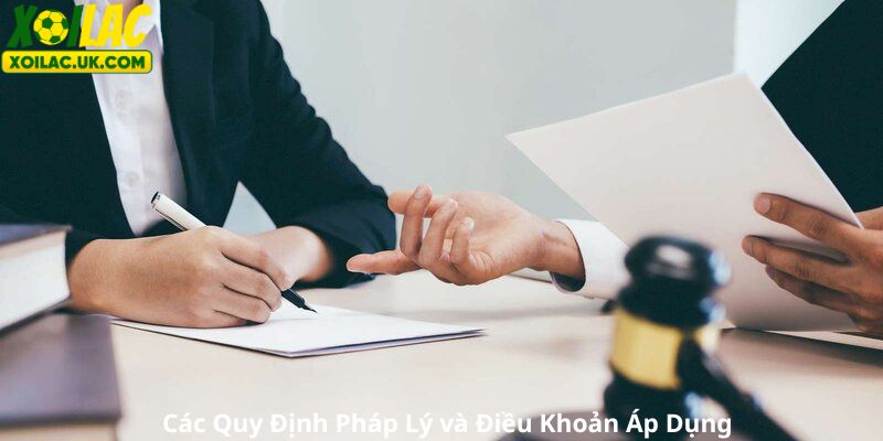 Các Quy Định Pháp Lý và Điều Khoản Áp Dụng