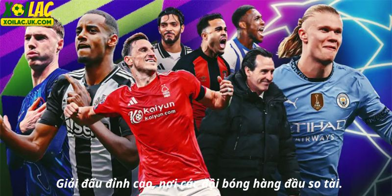 Giải đấu đỉnh cao, nơi các đội bóng hàng đầu so tài.