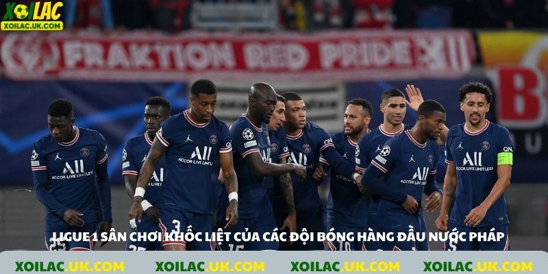 Ligue 1, sân chơi khốc liệt của các đội bóng hàng đầu nước Pháp