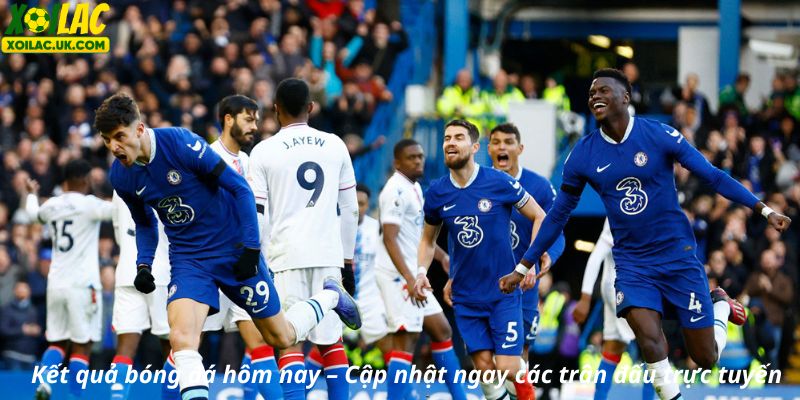 Kết quả bóng đá hôm nay – Cập nhật trực tuyến.