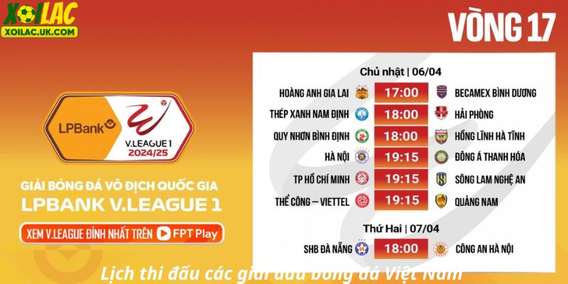 Cập nhật đầy đủ lịch thi đấu bóng đá Việt Nam