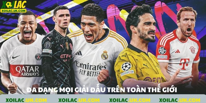 Lịch thi đấu đa dạng mọi giải đấu trên toàn cầu