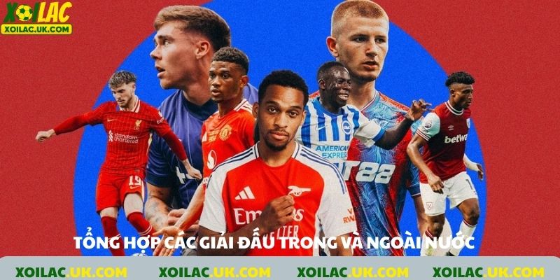 Tổng hợp các giải đấu trong nước và ngoài nước