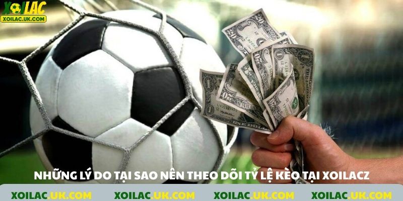 Những lý do tại sao nên theo dõi tỷ lệ kèo tại xoilacz