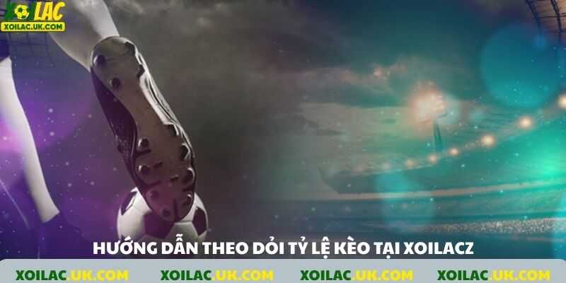 Hướng dẫn theo dỏi tỷ lệ kèo tại xoilacz